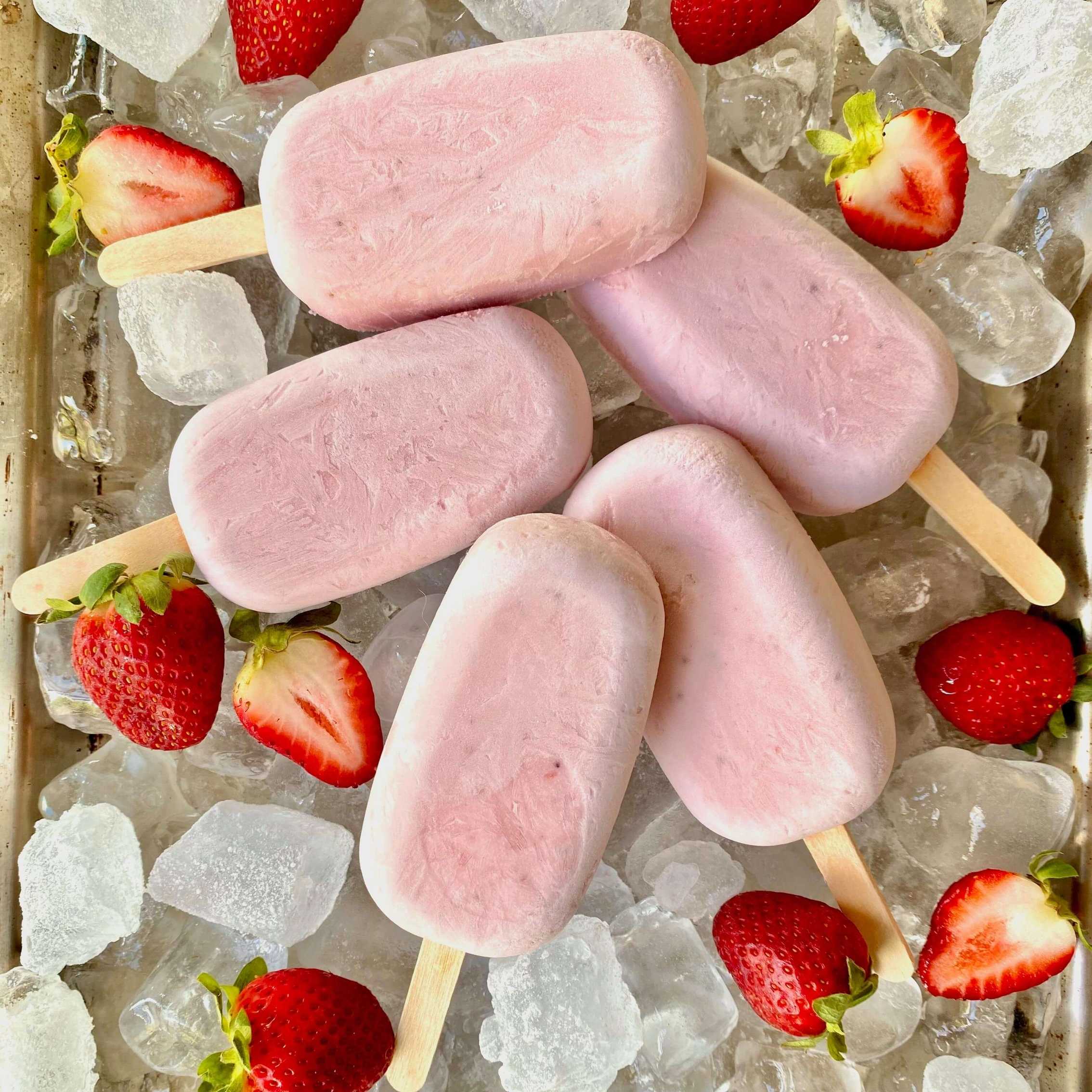 Frozen Yoghurt Blocks